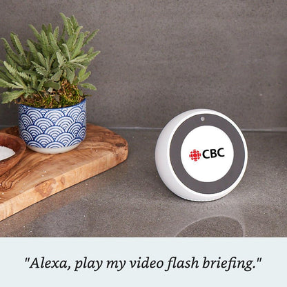 Echo Spot – Smart Display with Alexa