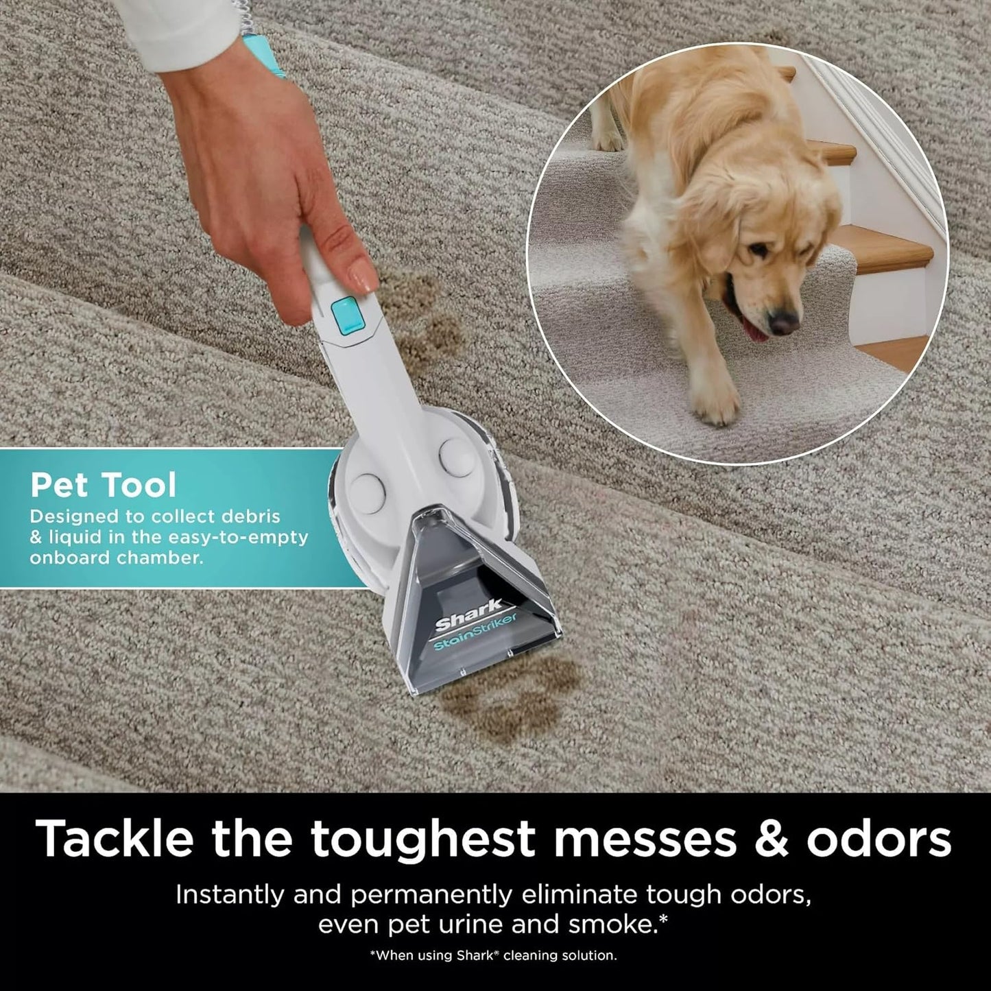 Shark StainStriker Portable Carpet Cleaner